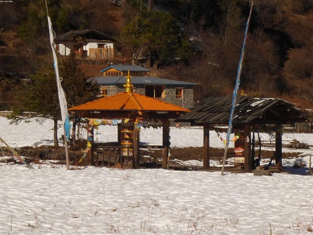 ព័ត៌មានលម្អិតអំពីវប្បធម៌