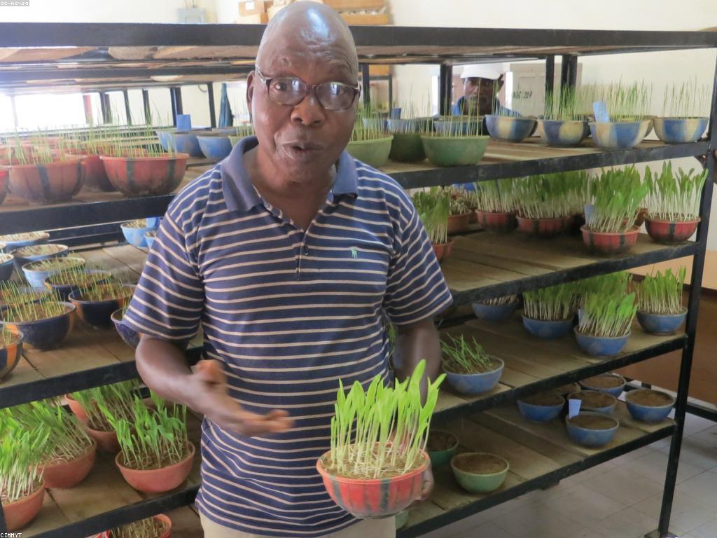 ការពិនិត្យនៃការប្រើប្រាស់អ៊ីនធឺណិត